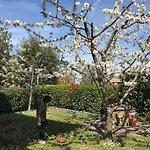 Lejlighed Casa Iris - Garden & Views *