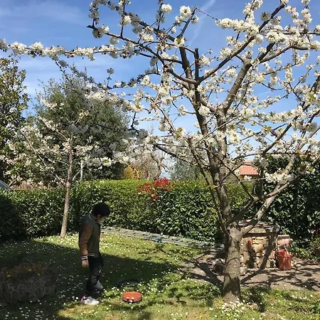 Apartment Casa Iris - Garden & Views *
