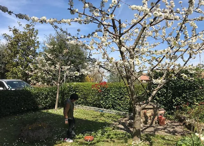 Appartamento Casa Iris - Garden & Views *